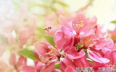 15条关于蜂拥而至的经典语句
