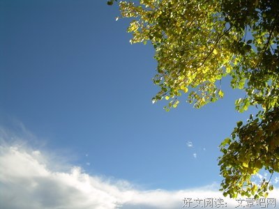 秋分的语句摘抄_关于秋分的语句