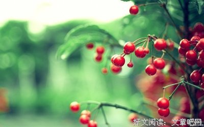 关于卓风华的语句