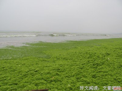 南风来