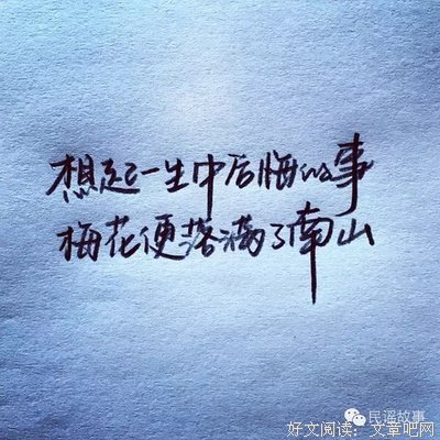 想起这一生没睡够的你，梅花就落满南山