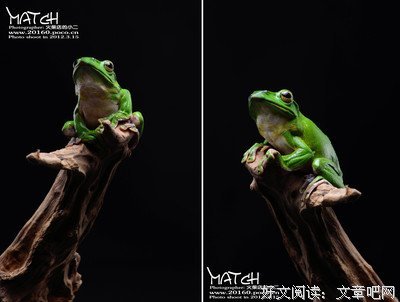 绿妖名句欣赏