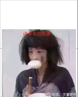 关于文文的格言