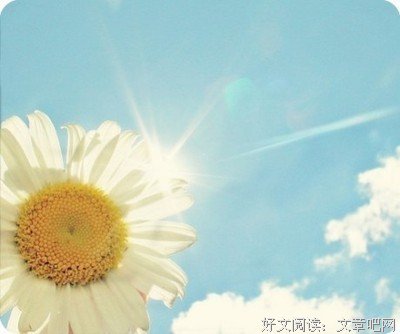 可心的语句摘抄_关于可心的语句