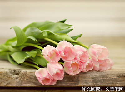 关于感人至深的语句