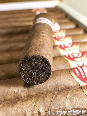 关于才华横溢的语句