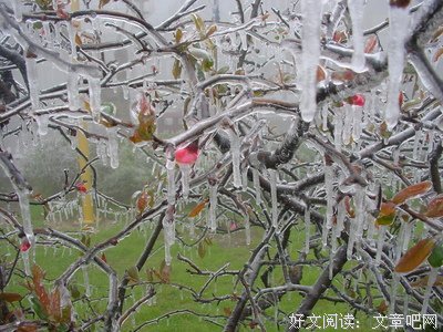 春寒料峭的名言_关于春寒料峭的名言