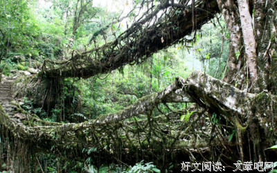 最全的《天作之合》语录摘抄