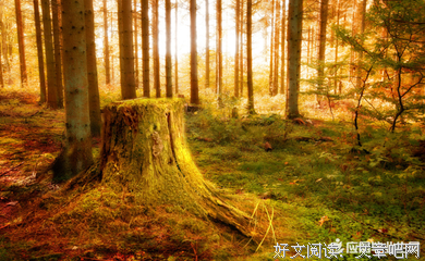 描写狠厉的经典句子