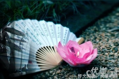 最全的《花容天下》小说句子