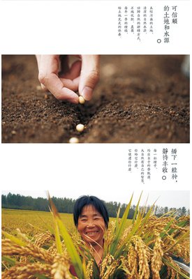 非有之有曰：妙有