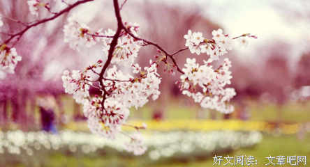 恶之花读后感精选10篇