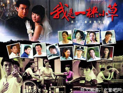 《我是一棵小草》观后感10篇