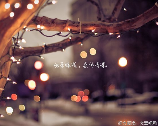 关于默里的唯美语录