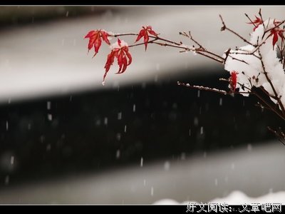 最经典的《魔鬼养成2江山美人》经典名句大全