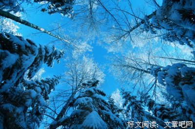 最经典的《目送》名句欣赏大全