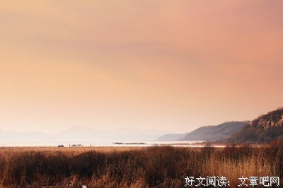 《蝉时雨》经典观后感10篇