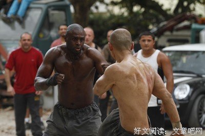 《锈与骨》经典影评10篇