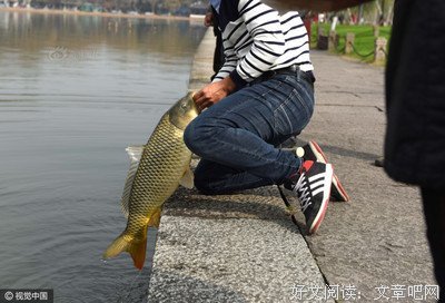 《撕票风云》经典观后感10篇