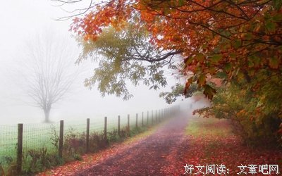 夏明朗的语句摘抄_关于夏明朗的语句