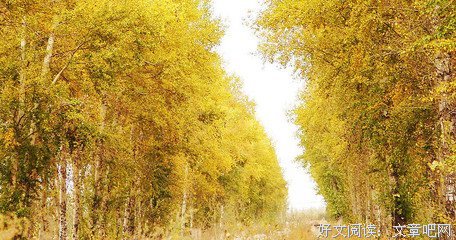 描写点想的经典句子