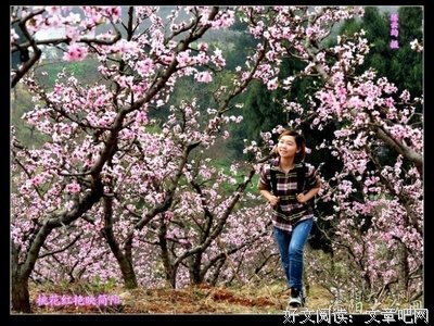 《生活的另一种美好》经典语句