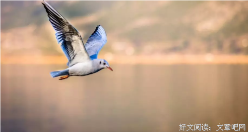 好读｜谁没年轻过，谁年轻时没犯过这些错？
