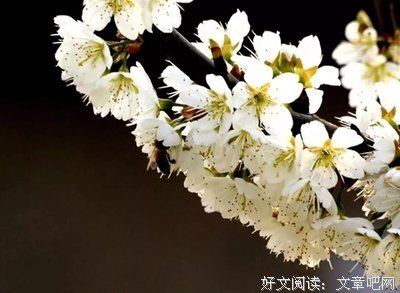 今日惊蛰