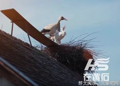 异地恋16年, 每年跨越10000公里相见! 生完孩子后离开, 却吸引全世
