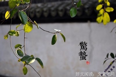 惊蛰~~迎接最美的春天