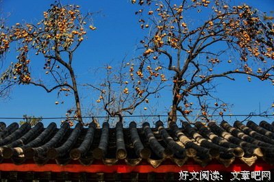 《黑暗馆不死传说》读后感精选10篇