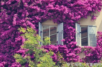 普希金的句子