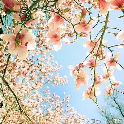 必要的句子