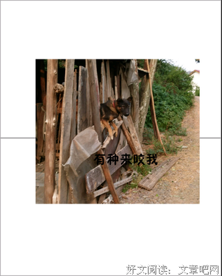 关于老哥名言名句