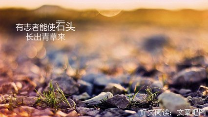 《你是我的独家记忆》小说摘抄