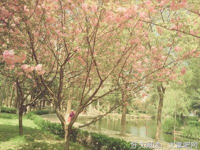 感谢生命中的那些痛