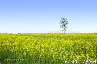 惊蛰读书丨捧起《人间草木》看万物生长