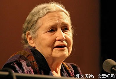 关于多丽丝·莱辛的名言