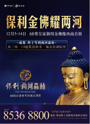 同情与慈悲的鲜活力量