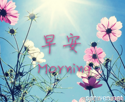 最新的《品句子》经典句子