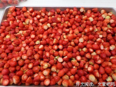 她终于摧毁了我的家