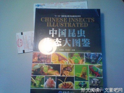 中国昆虫生态大图鉴读后感10篇