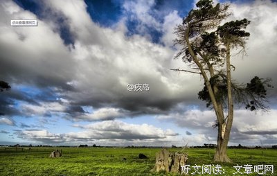 叔本华论道德与自由的读后感10篇