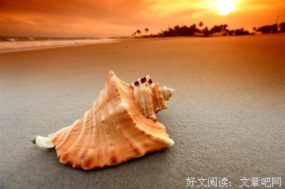 关于大吃一惊的唯美语录