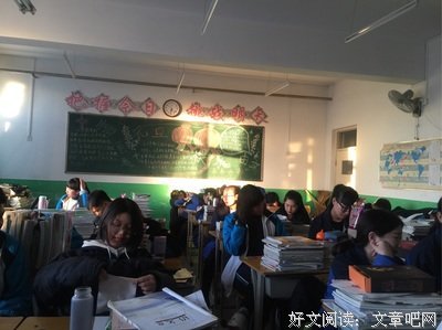 最新的豆豆经典句子