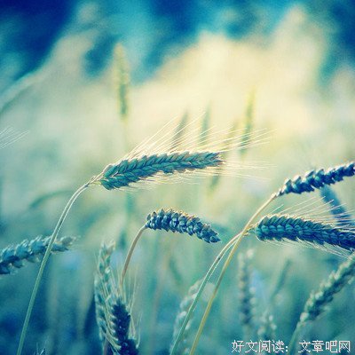 姚若龙的名言_关于姚若龙的名言