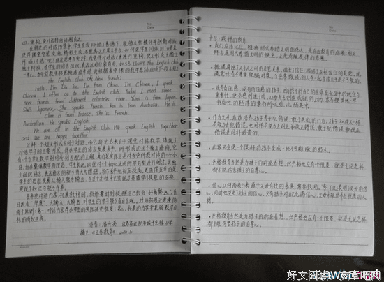 最新的《胡金玉博客》好段摘抄