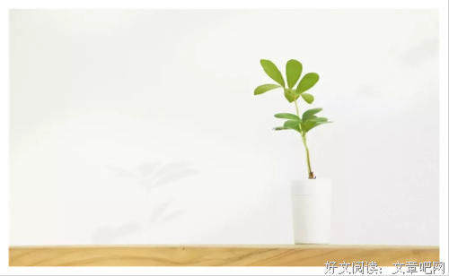 赏读丨三月，做一朵温婉的女人花