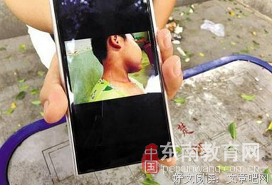 《与我的园丁对话》的观后感10篇