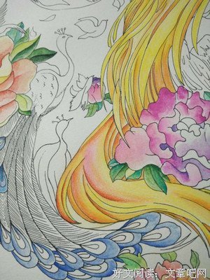 《谁理你的梦想》经典读后感10篇